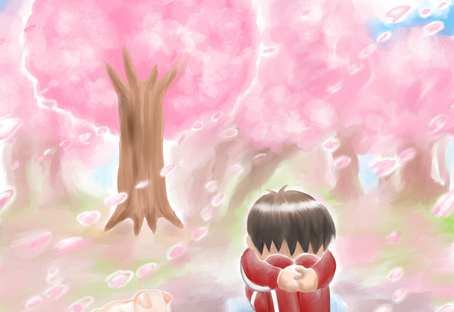 花見、桜、春