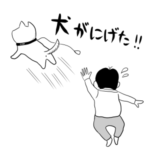 生活、犬、動物