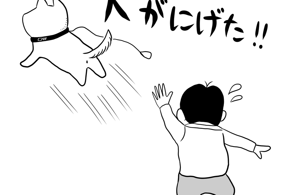 生活、犬、動物