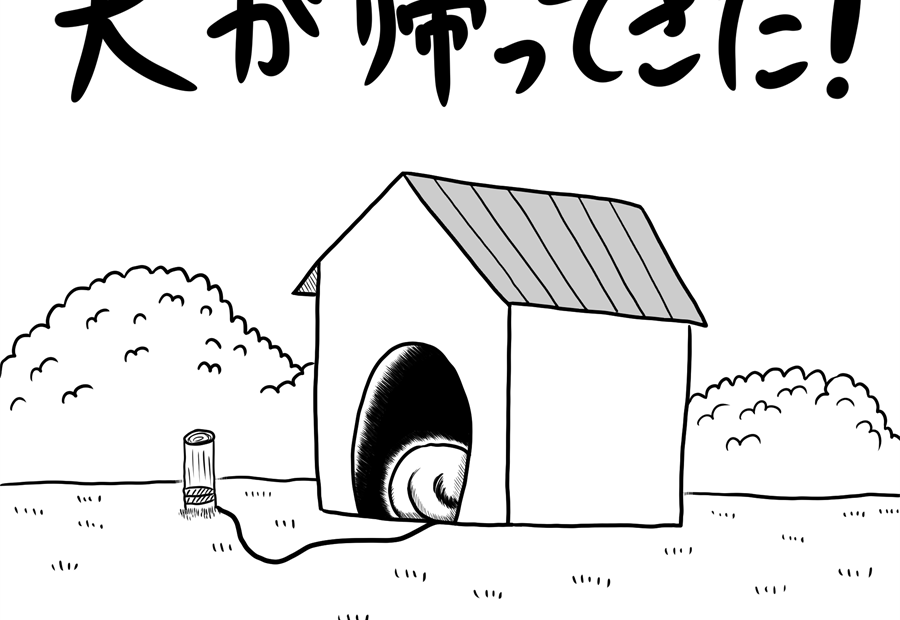 生活、犬、動物