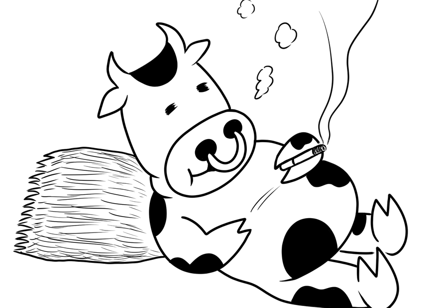 タバコ、牛、煙、藁